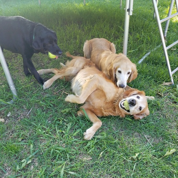 Profile Picture of Kristen Templeman (@kjtemp) on Poshmark