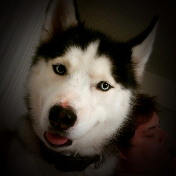 Profile Picture of Joan Atzinger (@joaner702) on Poshmark