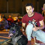 Profile Picture of Ibrahim Adly (@adly.ibrahim) on Instagram