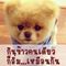 Profile Picture of Dack Nan (@dackhk.nan) on Facebook