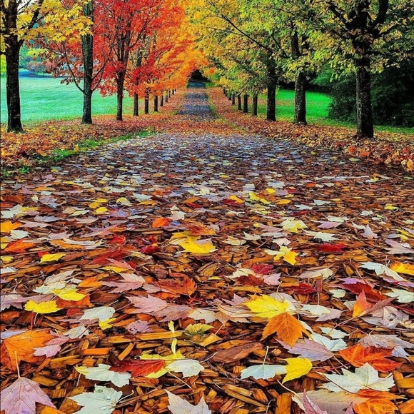 Profile Picture of Candice Matuszak (@matucm22) on Poshmark