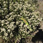 Profile Picture of James Machie (@hmachie945) on Instagram