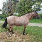 Profile Picture of chrystalturner038@gmail (@chrystalturner038gmail) on Instagram