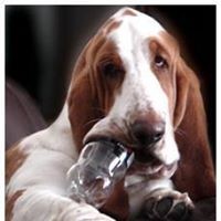 Cherry Moon - Quora Profile Picture of Cherry Moon (@cherry-moon-2) on Quora