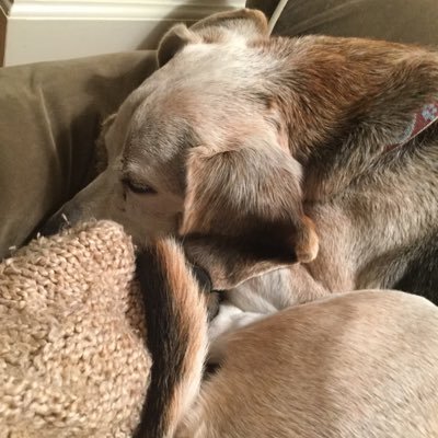 Profile Picture of Brandon Thornton (@Bthornton20) on Twitter