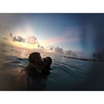 Profile Picture of Lisa Hill (@lathandgiduc) on Instagram