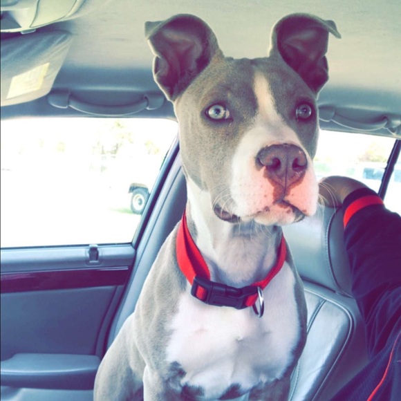 Profile Picture of Antheny Carr (@tfrkt) on Poshmark