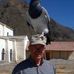 Profile Picture of Steve Minor (@steve.minor.585) on Facebook