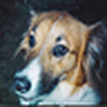 Profile Picture of Billie-anne Dazi (@dazi0831) on Flickr