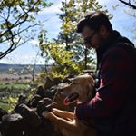 Profile Picture of Michael Baglio (@mbags31) on Instagram