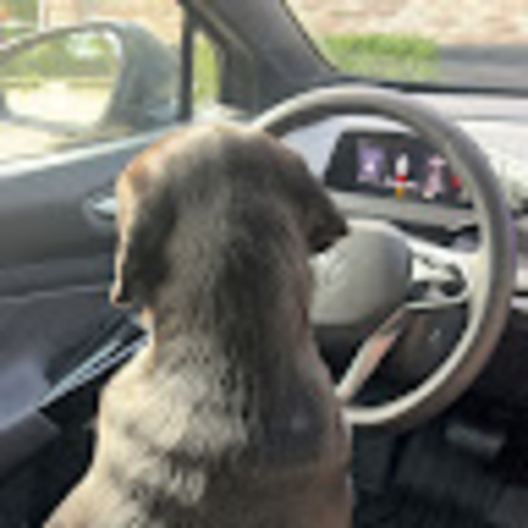 Profile Picture of Molly Grobarek (@mgrobarek416) on Poshmark