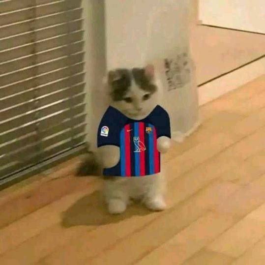Profile Picture of peter_c (@peter__c20) on Tiktok