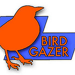 Profile Picture of Michael Tedeschi (@Bird.Gazer) on Flickr