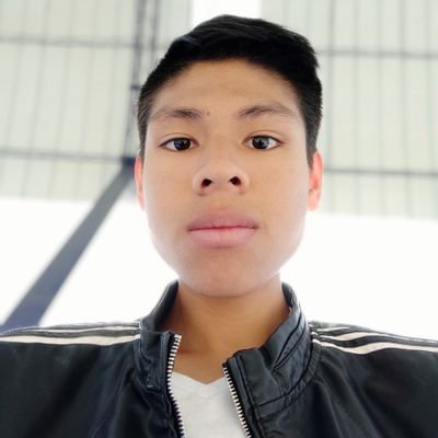 Profile Picture of Guillermo Ugalde (@WillWinG17) on Twitter