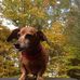 Profile Picture of Nancy Cardy (@nancy.cardy.5) on Facebook
