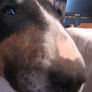 Albert Pla - Facebook Profile Picture of Albert Pla (@albert.pla) on Facebook