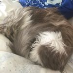 Profile Picture of William Torchin (@williamdafoof) on Instagram