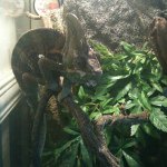 Profile Picture of Jimmy Baird (@jimmy761) on Instagram