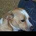 Profile Picture of Adam Toney (@adam.toney.106) on Facebook