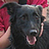 Profile Picture of Christina Harder (@christina alice) on Flickr