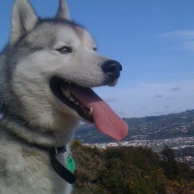 THE0BALD - Twitter Profile Picture of THE0BALD (@THE0BALD) on Twitter