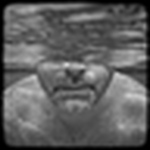 Profile Picture of Matt Randolph (@matt randolph) on Flickr