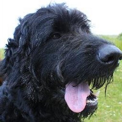 Profile Picture of Billy Burnside (@BillyBurnside) on Twitter