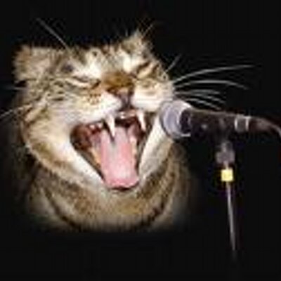 Profile Picture of Mark Pinnock (@marcus160480) on Twitter