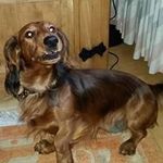 Profile Picture of Eric Bittner (@eric.bittner.3344) on Instagram