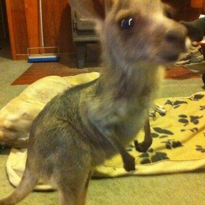 Profile Picture of Stephen Higgins (@sjhiggins1973) on Twitter