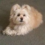 Profile Picture of Janet Soda (@janet.soda) on Instagram