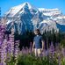 Profile Picture of Travis Eby (@travis.eby.18) on Facebook