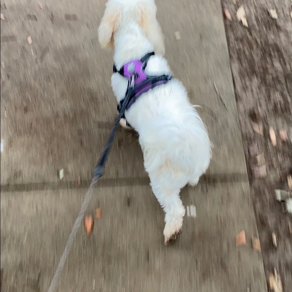 Profile Picture of Carly Mcclelland (@carlyh98) on Poshmark