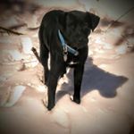 Profile Picture of Tom Albright (@tom.albright.16) on Instagram
