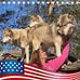 Profile Picture of Wanda Kopp (@wanda.kopp.37) on Facebook