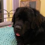 Profile Picture of Denise Baker (@denise.andrews.7739) on Instagram