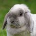 Profile Picture of Julia Wilkes (@julia.wilkes.986) on Facebook