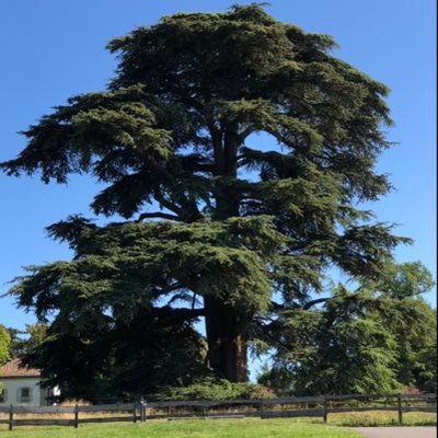Profile Picture of Michael Kluger (@drkluger) on Twitter