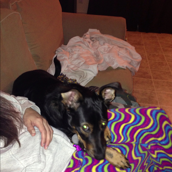 Valerie Paretta - Poshmark Profile Picture of Valerie Paretta (@vkm8871) on Poshmark