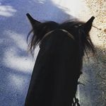 Profile Picture of Vicente Chávez (@vicentechavez501) on Instagram