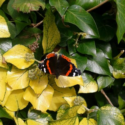 Profile Picture of Moira McGregor (@moira_mcgregor) on Twitter