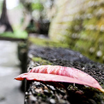 Profile Picture of Aaron Lee (@discovery20220) on Flickr