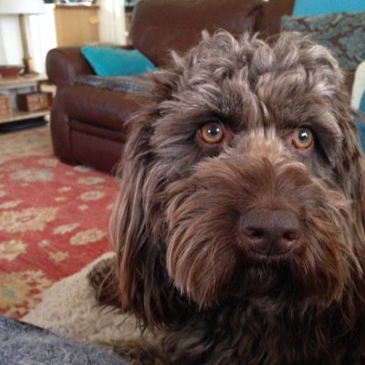 Profile Picture of Jim Tough (@jutough) on Twitter