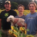 Profile Picture of Tim Walsh (@tim__walsh_) on Instagram