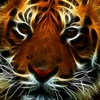 Profile Picture of user3651068982145 (@@debbiewicked) on Tiktok