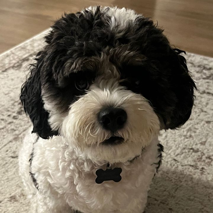 Profile Picture of Shayne Travers (@shayne_travers) on Tiktok