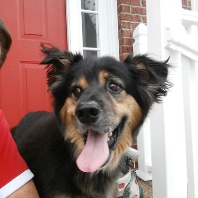 Profile Picture of Robert Meyer 🇺🇸 ✝️ 🇺🇸 🙏 (@Vandy1Fan) on Twitter