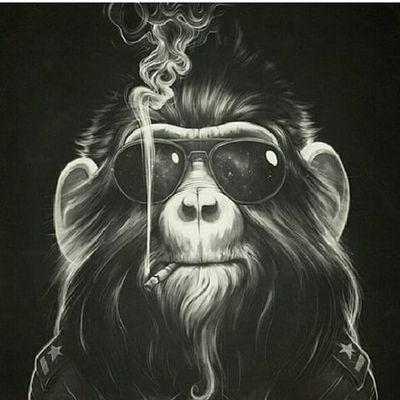 Profile Picture of Brett Wight (@be_wight) on Twitter