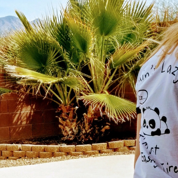 Profile Picture of Trina Nesselhauf (@tdnesselhauf641) on Poshmark