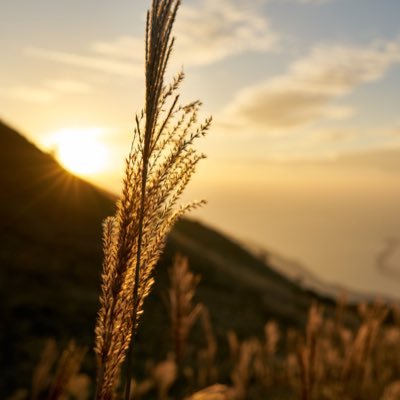 Profile Picture of Tony Ma (@thang1014) on Twitter